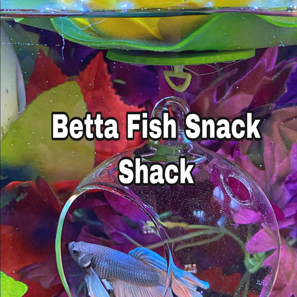 🔥Betta fish feeding house. No more messy tanks. - Picture 11 of 17